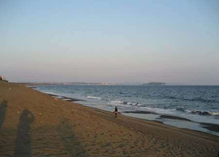 江の島を眺めながら汀を散歩する楽しみも今は昔：2008年03月08日